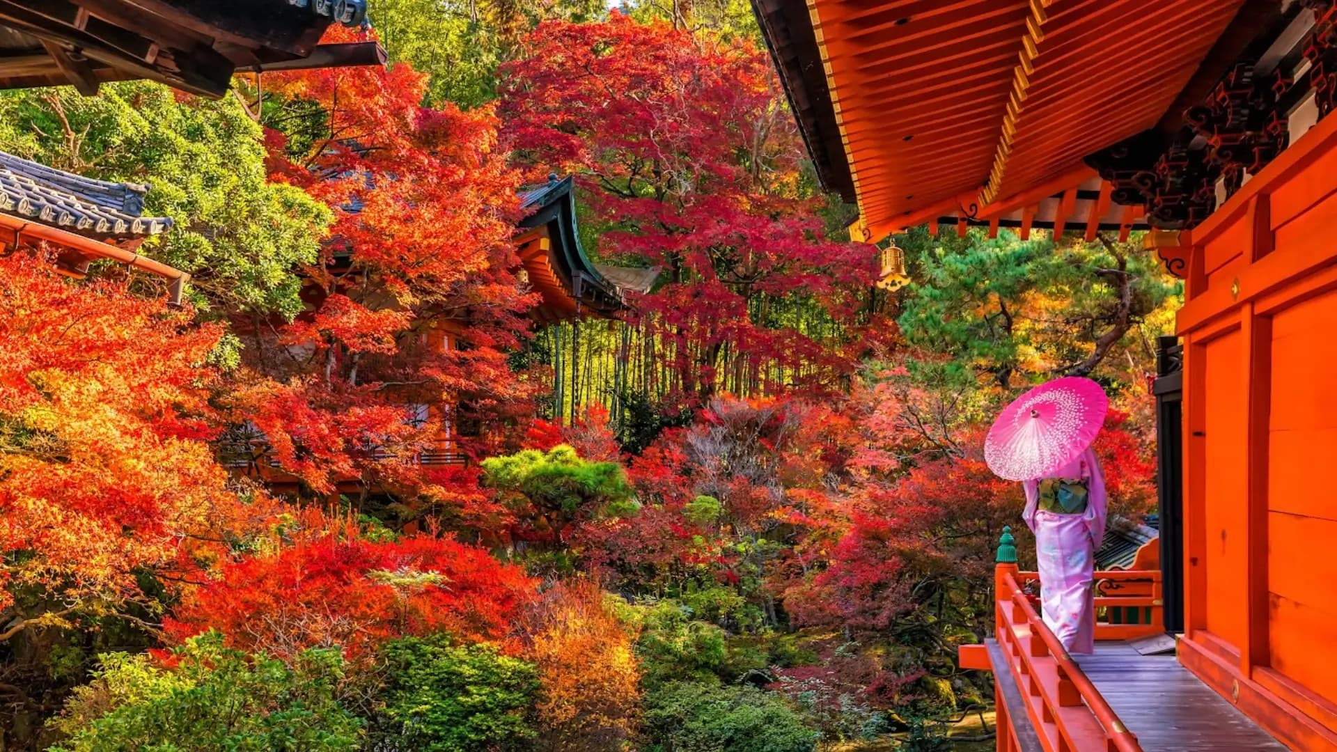 TheGoldenRouteJapanTourAutumnNew.webp
