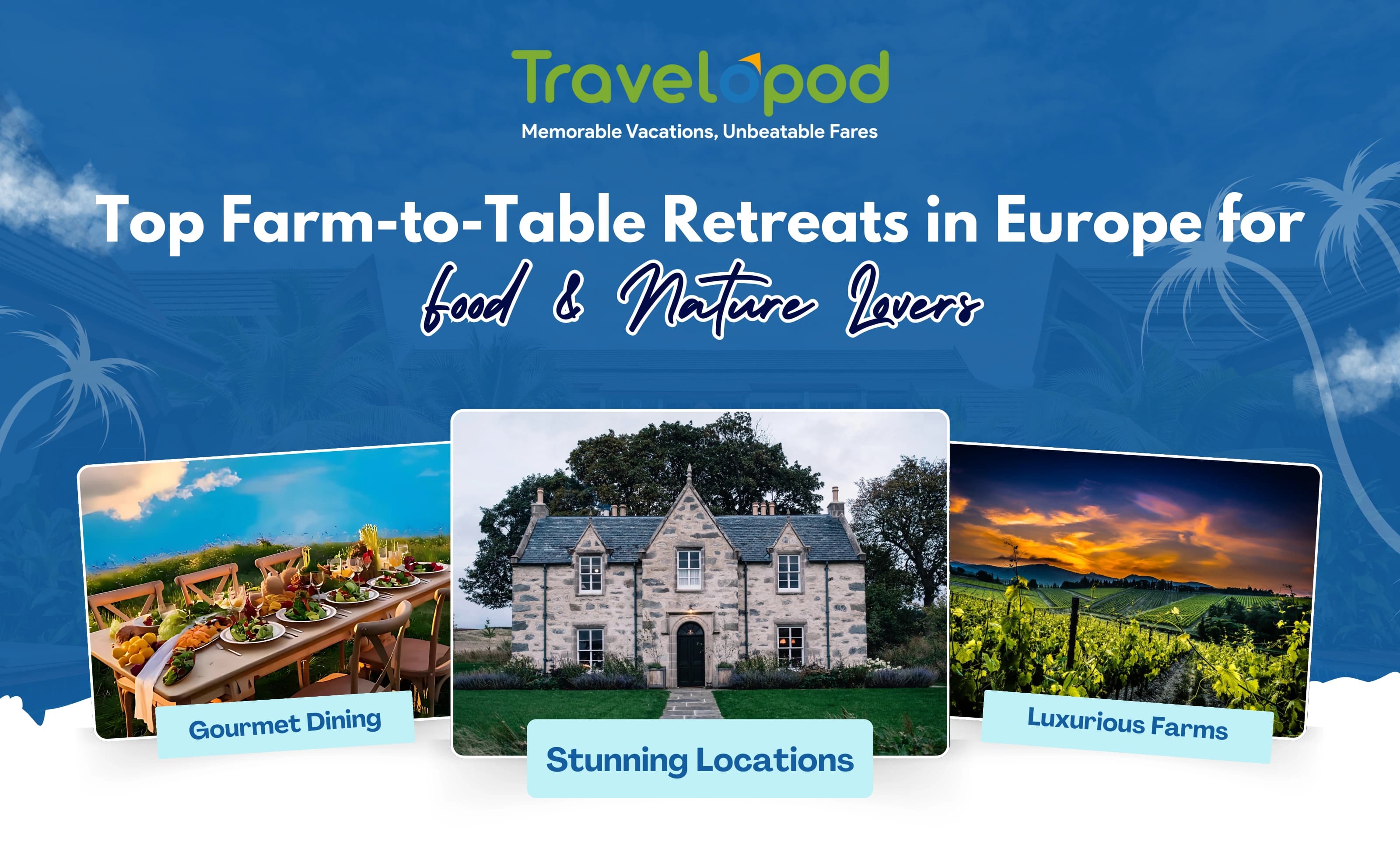 Top Farm-to-Table Retreats in Europe for Food & Nature Lovers