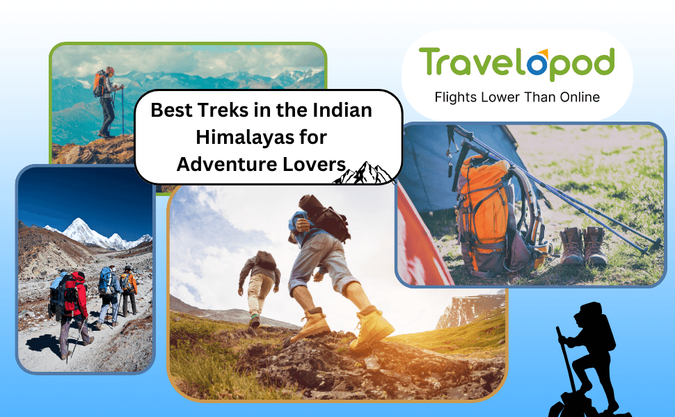 Trekking Destinations in India: Best Treks in the Indian Himalayas for Adventure Lovers