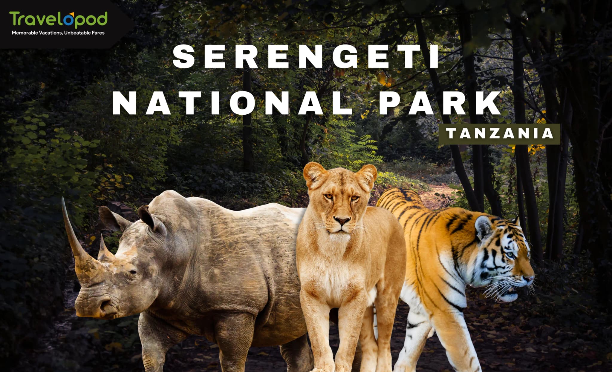 Serengeti National Park, Tanzania