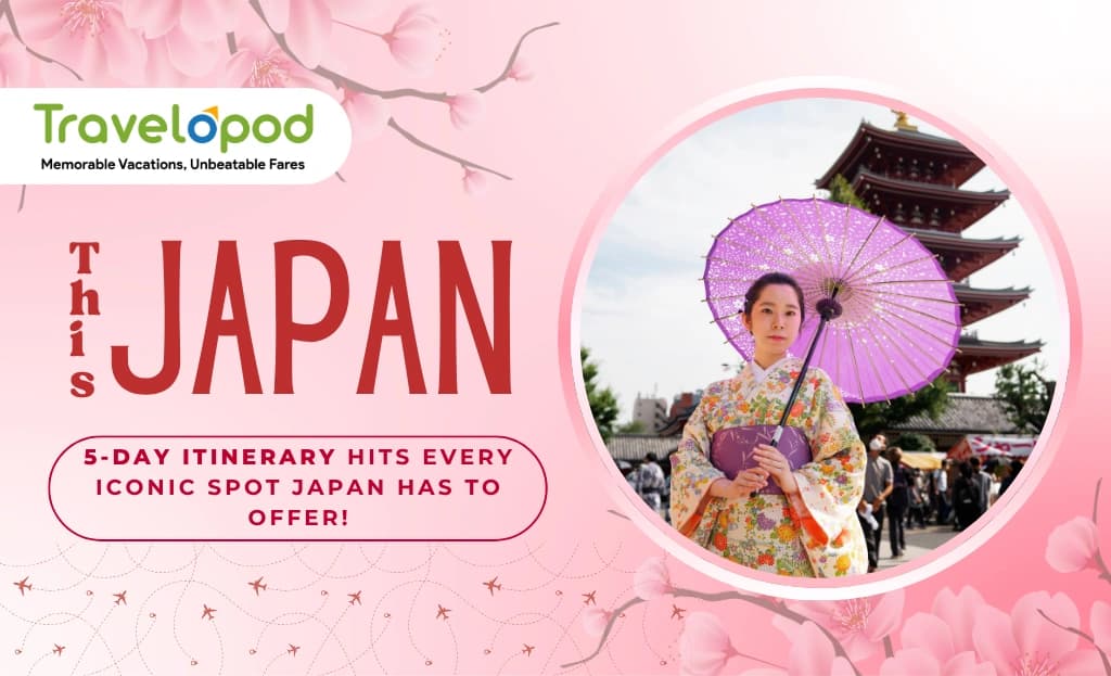 This Japan 5-Day Itinerary Hits Every Iconic Spot Japan Has to Offer!