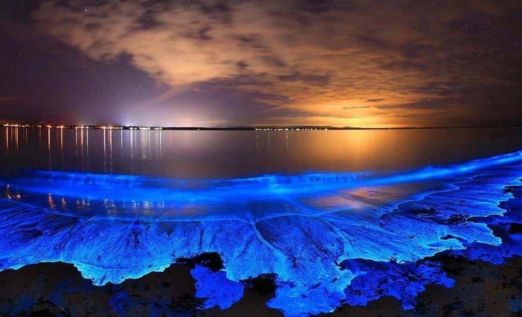 Laguna Grande, Fajardo, Puerto Rico