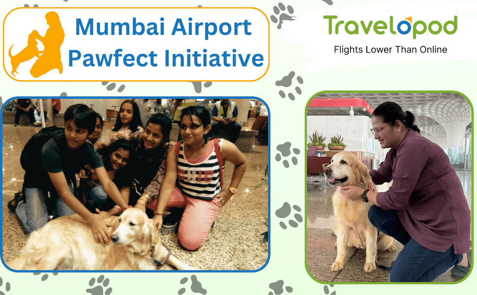Still Not Experienced Mumbai Airport Pawfect Initiative? Here’s Why You Should!