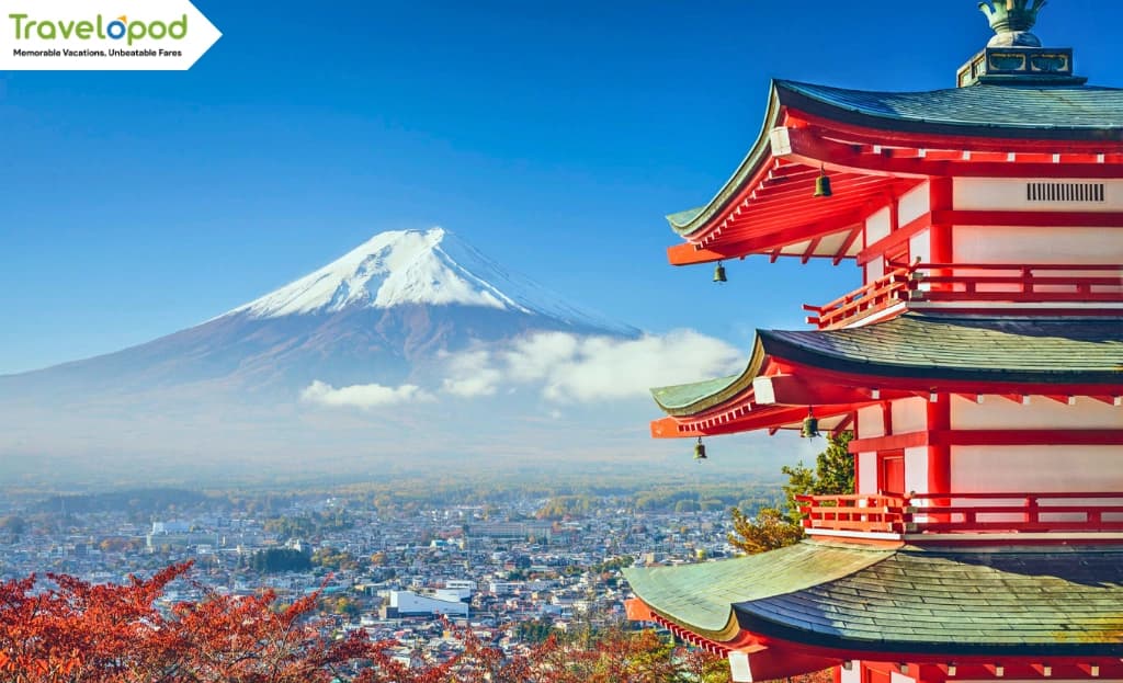 Day Trip to Mount Fuji from Tokyo
