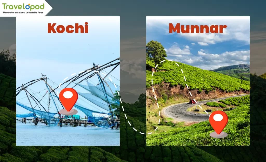 Kochi to Munnar – Tea Trails and Misty Road