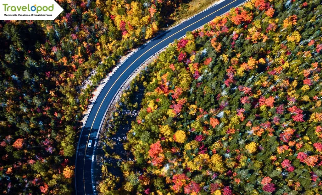 Route 100 (Vermont)