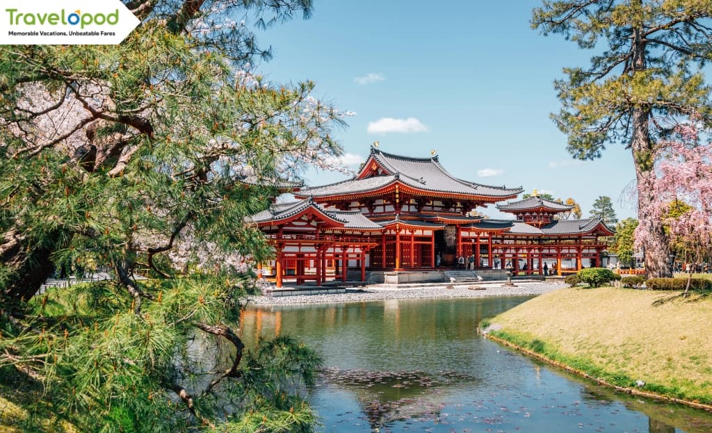 Kyoto's Serene Charm & Local Flavors