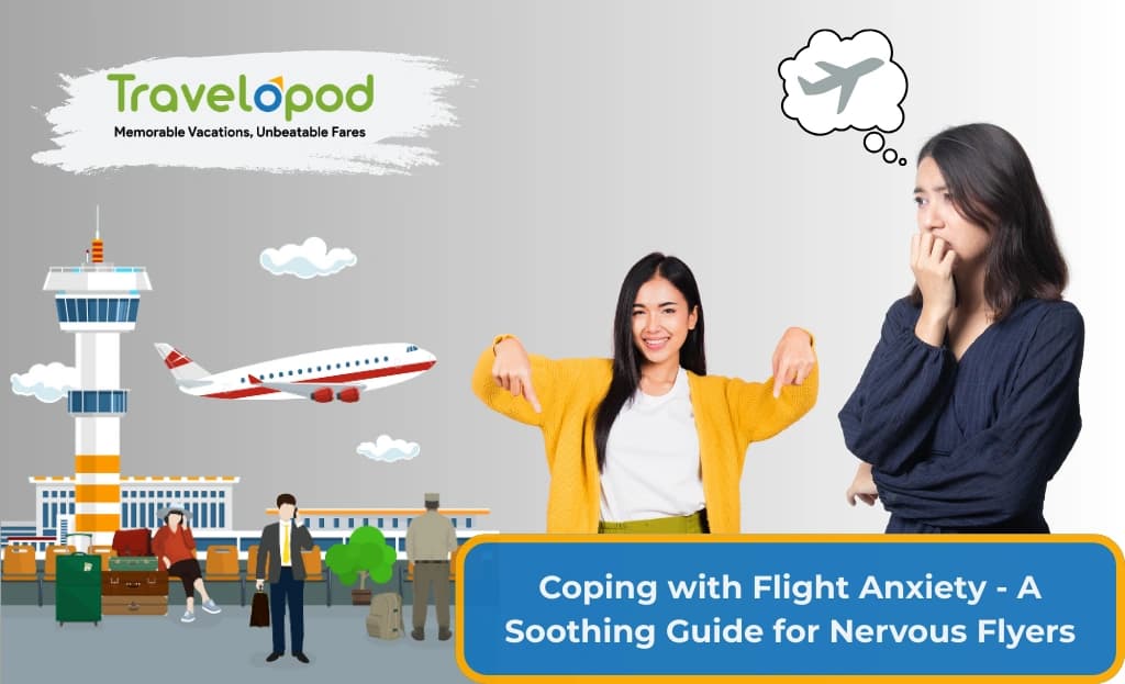 Coping with Flight Anxiety - A Soothing Guide for Nervous Flyers