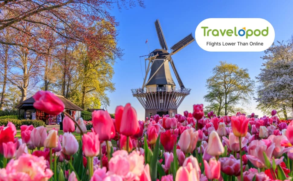 Netherlands