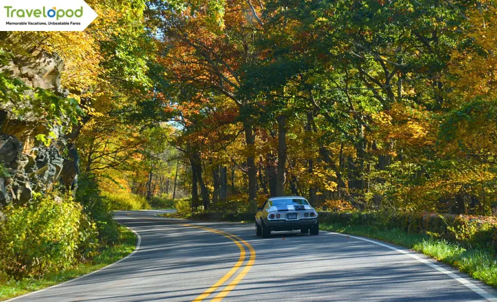 Skyline Drive (Virginia)