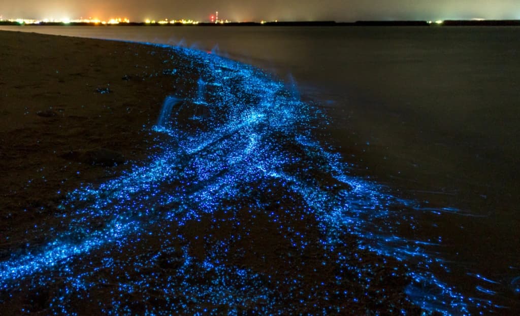 Indian River Lagoon, Florida, USA
